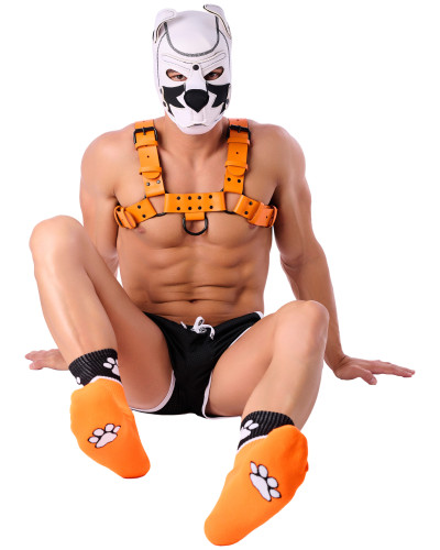 Chaussettes Paw Kinky Puppy Orange 