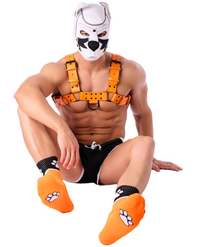 Chaussettes Paw Kinky Puppy Orange 