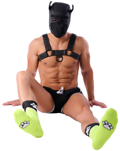 Chaussettes Paw Kinky Puppy Jaunes Fluo 