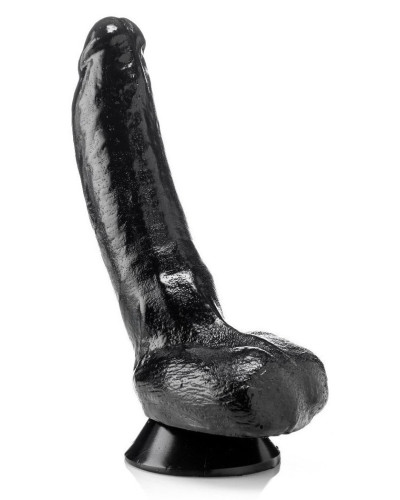 HELMUT 23 x 6.5 cm 