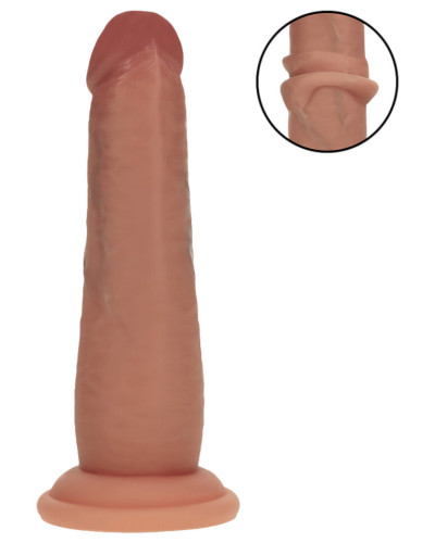 Gode Edoardo latino 16 x 4cm 