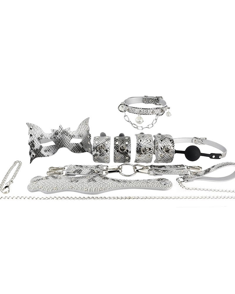 Kit SM 8 pièces Snakeyes Argent 