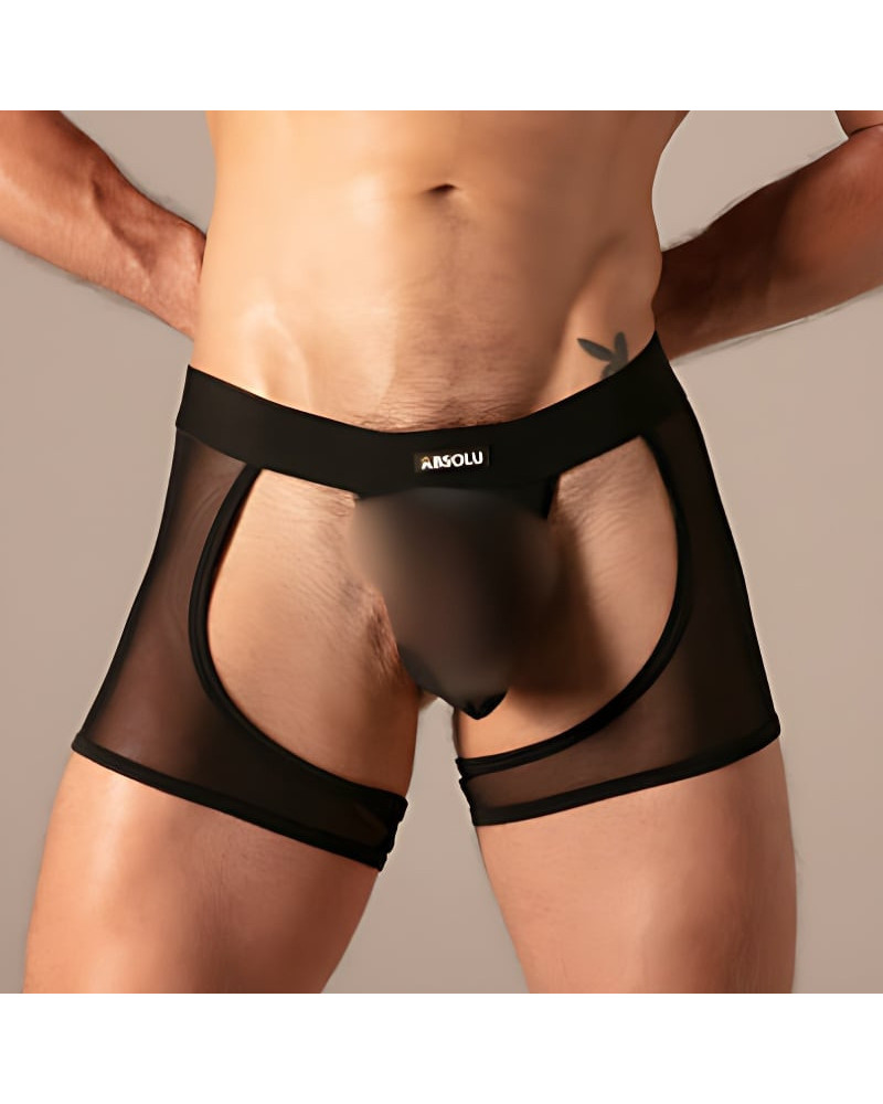 Bottomless Chaps Bare Mesh Noir 