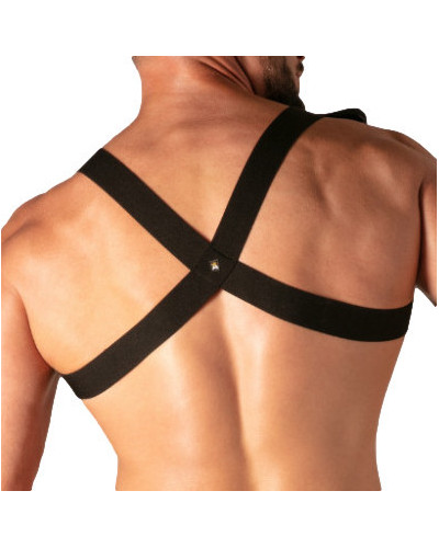 Bag Harnais Master Flex Noir 