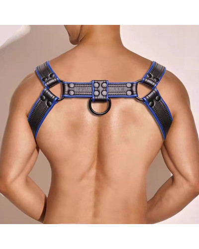 Harnais Simili Hashon Noir-Bleu 