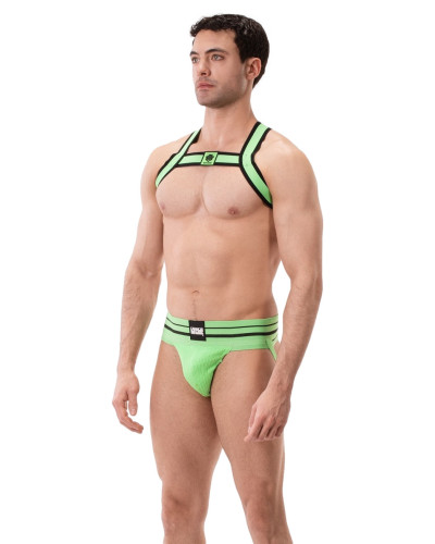 Harnais élastique Colin Vert  Couleur principale:Vert