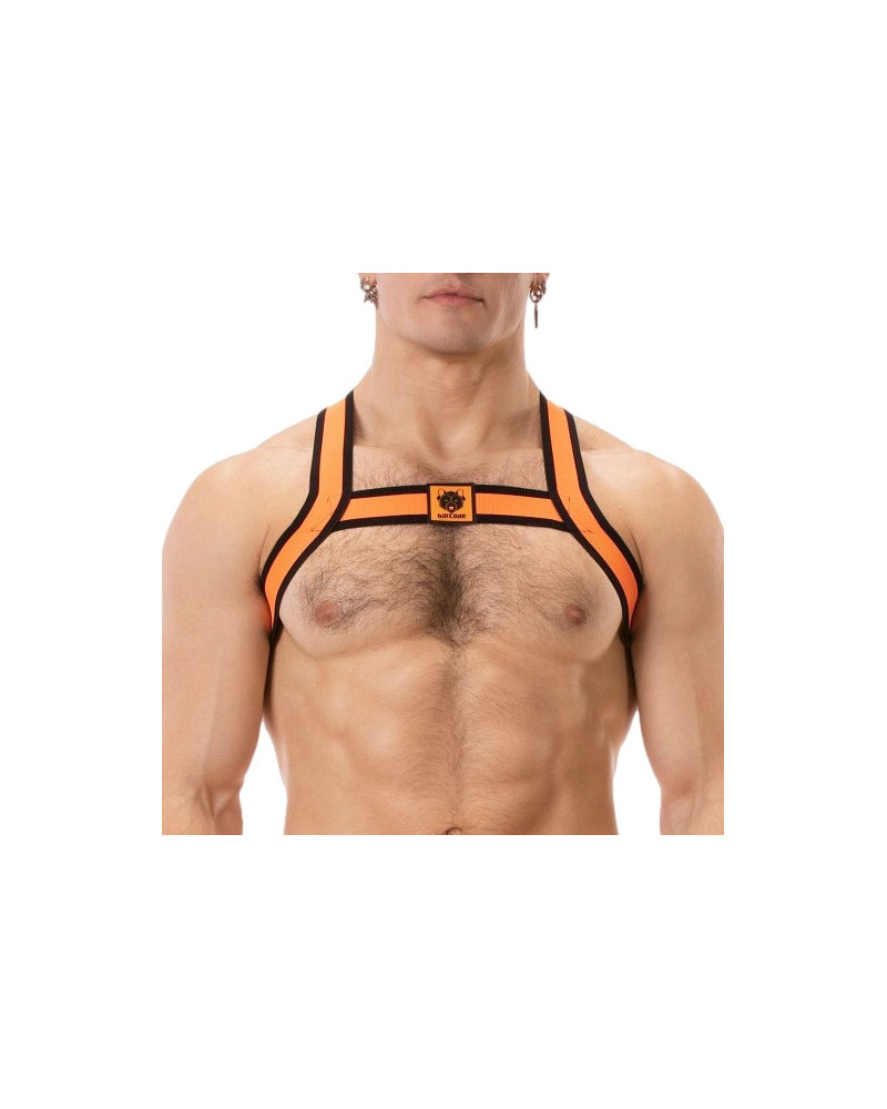 Harnais élastique Colin Orange  Couleur principale:Orange