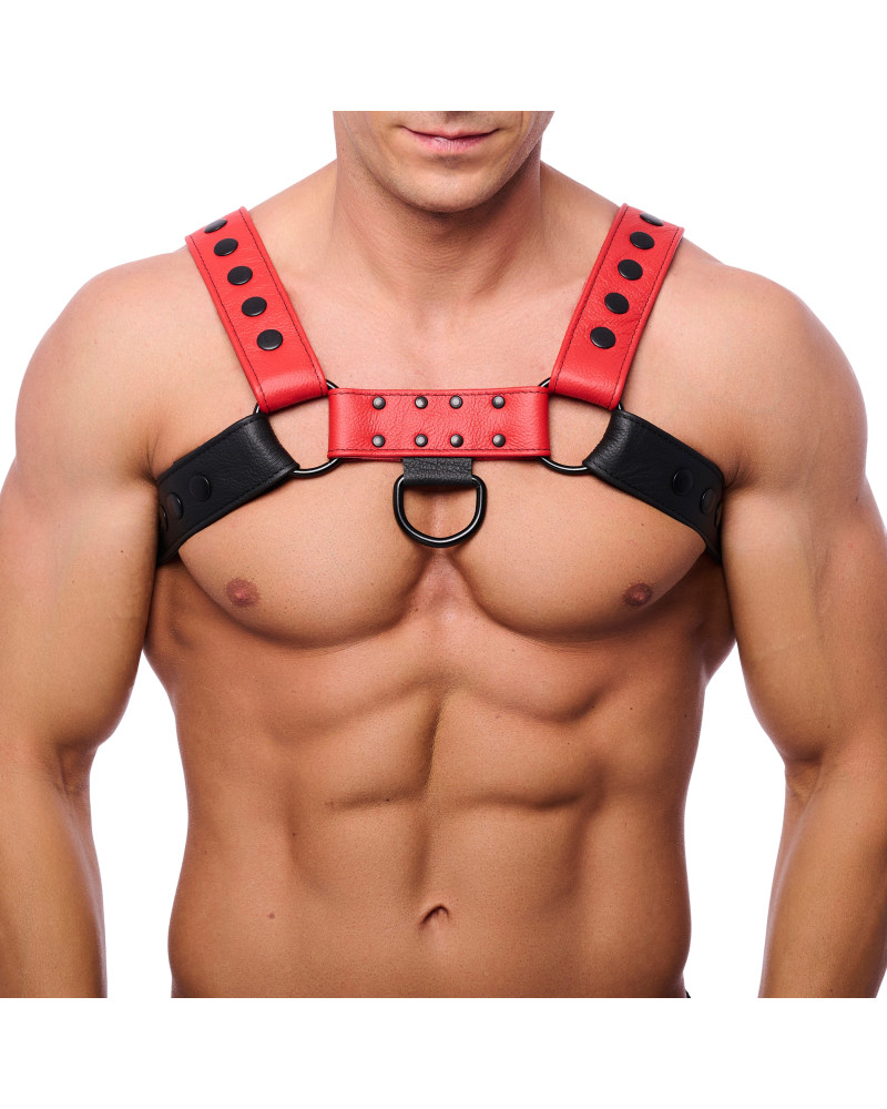 Harnais en cuir Snap Noir-Rouge  Couleur principale:Noir Couleur secondaire:Rouge