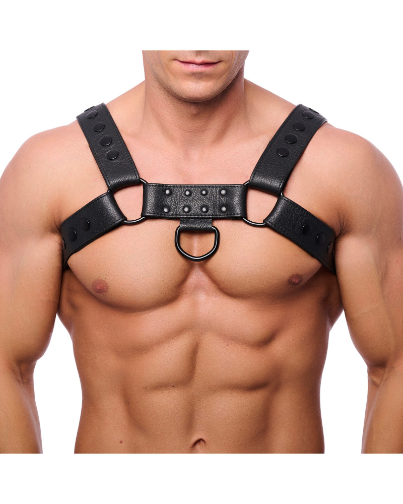 Harnais en cuir Snap Noir  Couleur principale:Noir