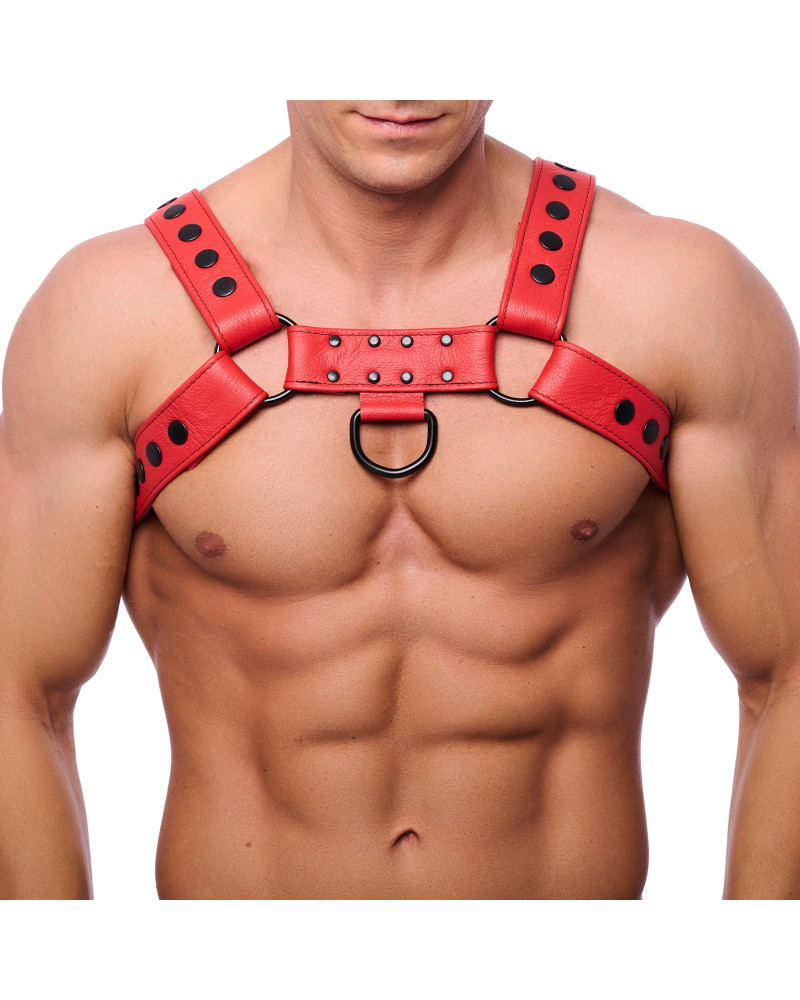 Harnais en cuir Snap Rouge  Couleur principale:Rouge
