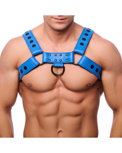 Harnais en cuir Snap Bleu  Couleur principale:Noir Couleur secondaire:Bleu