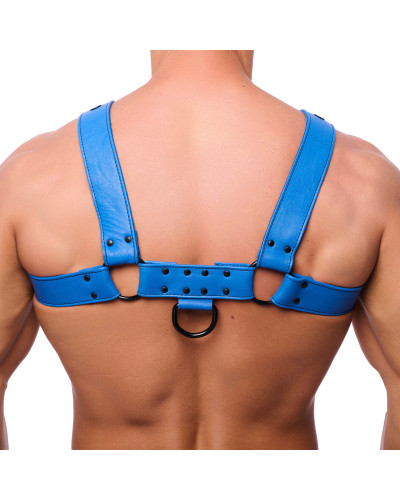 Harnais en cuir Snap Bleu  Couleur principale:Noir Couleur secondaire:Bleu