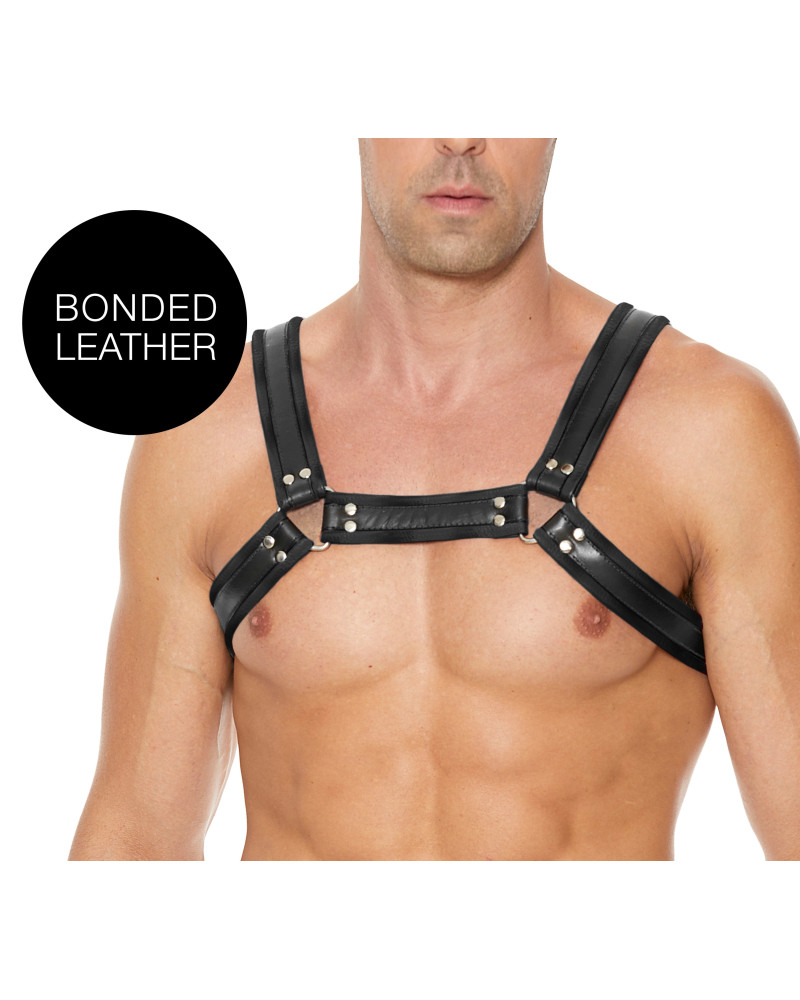 Harnais Buckle Bulldog Noir  Couleur principale:Noir