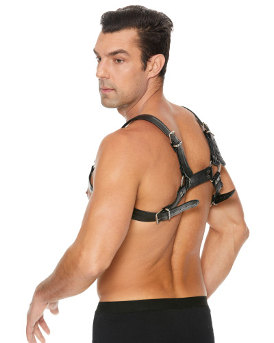 Harnais Buckle Bulldog Noir  Couleur principale:Noir