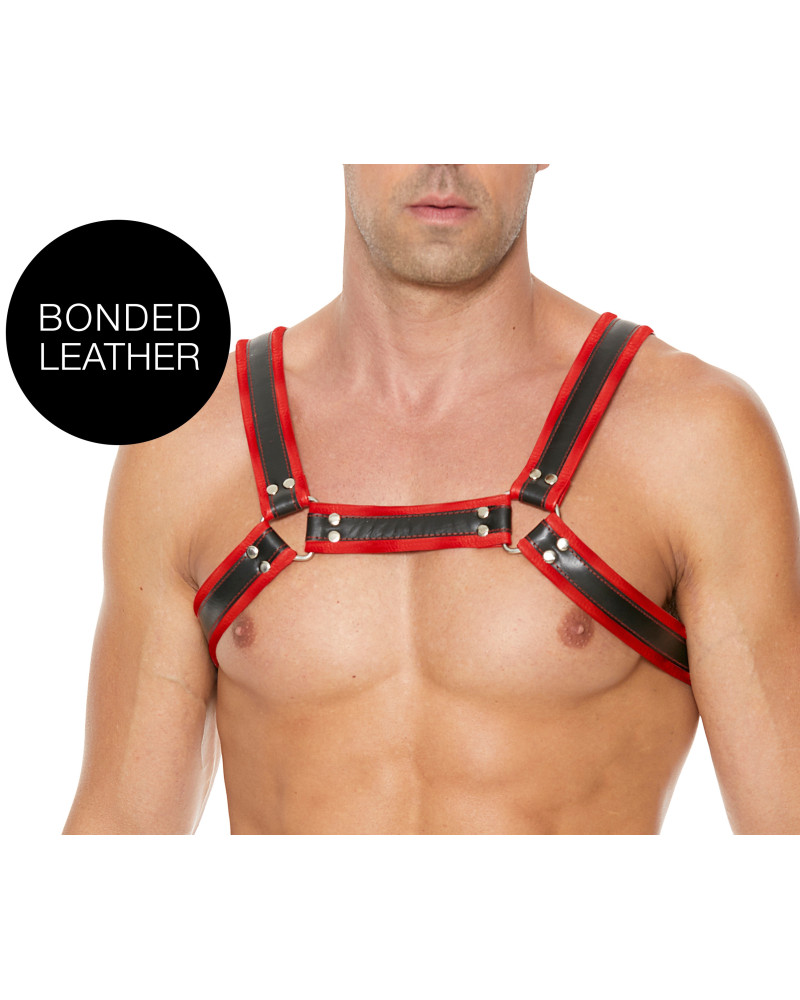 Harnais Buckle Bulldog Noir-Rouge  Couleur principale:Noir Couleur secondaire:Rouge