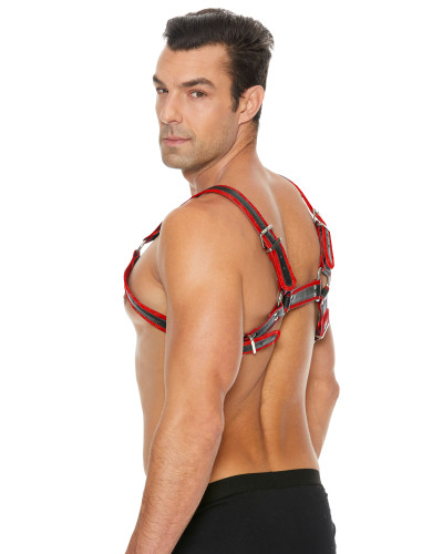 Harnais Buckle Bulldog Noir-Rouge  Couleur principale:Noir Couleur secondaire:Rouge