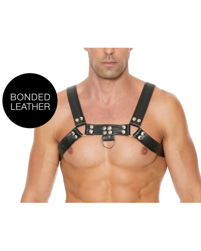 Harnais Chest Bulldog Noir  Couleur principale:Noir