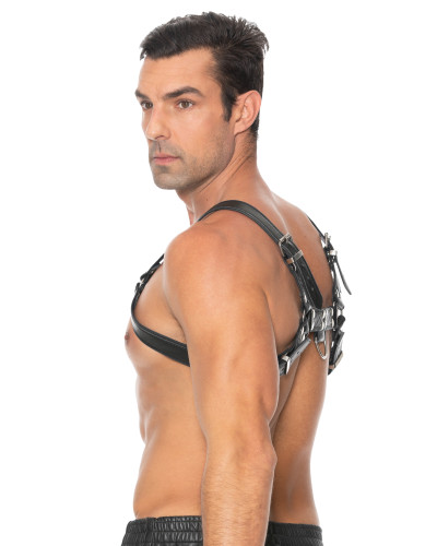 Harnais Chest Bulldog Noir  Couleur principale:Noir