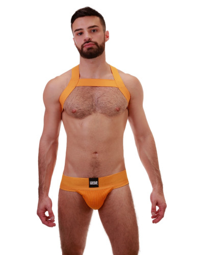 Harnais élastique MATT Jaune  Couleur principale:Jaune