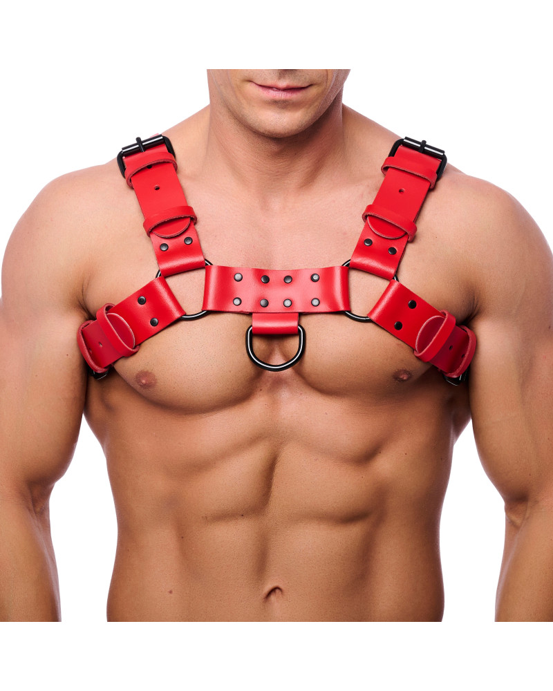 Harnais en cuir BULLDOG Rouge  Couleur principale:Rouge
