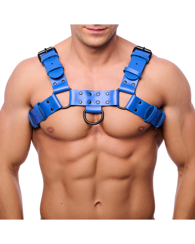 Harnais en cuir Bulldog Bleu  Couleur principale:Bleu