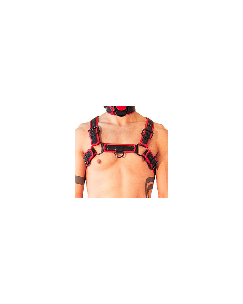 Harnais Puppy Harness Noir-Rouge  Couleur principale:Noir Couleur secondaire:Rouge