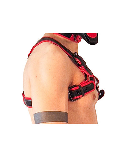 Harnais Puppy Harness Noir-Rouge  Couleur principale:Noir Couleur secondaire:Rouge
