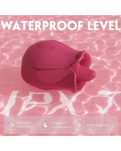 Accessoire Anulingus Rose Pro 4 - 9 Vibrations 