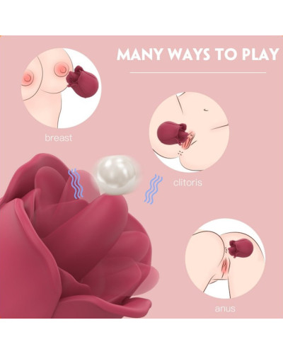 Accessoire Anulingus Rose Pro 4 - 9 Vibrations 