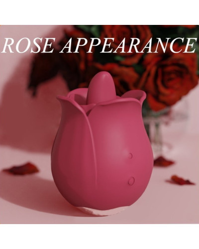 Accessoire Anulingus Rose Pro 4 - 9 Vibrations 