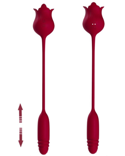Stimulateur et Vibro Dwich Rose 