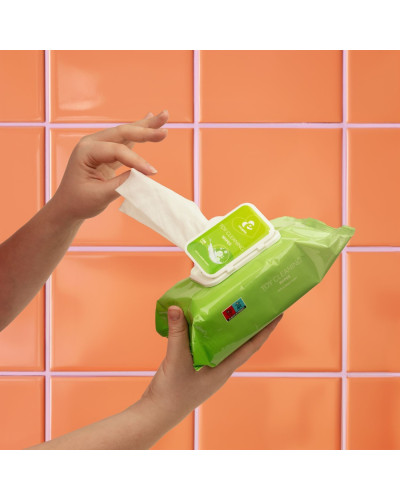 Lingettes nettoyantes Toy Cleaning x100 