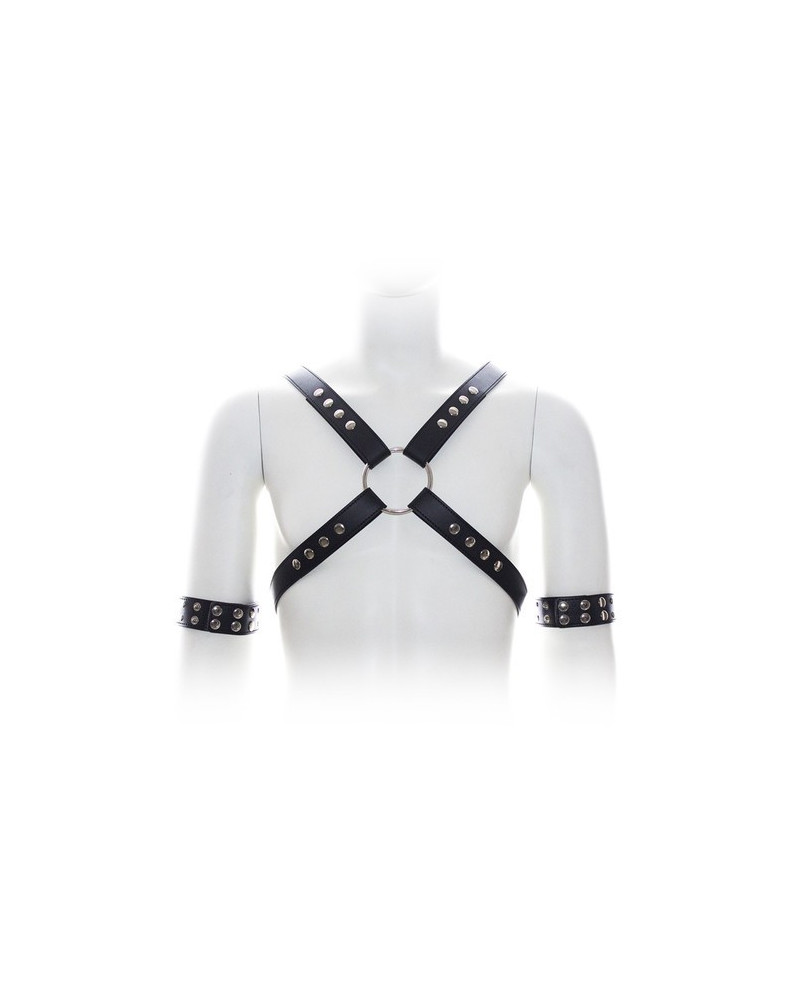 Harnais SM Cross Male Chest 