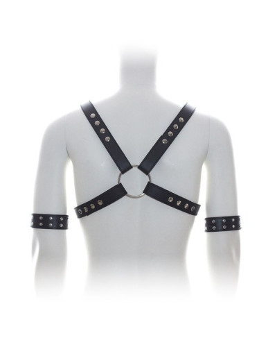 Harnais SM Cross Male Chest 