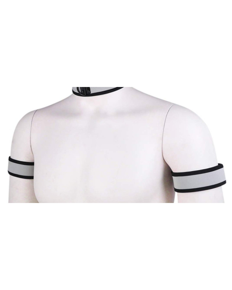 Brassards PUPPY Néoprène Gris 