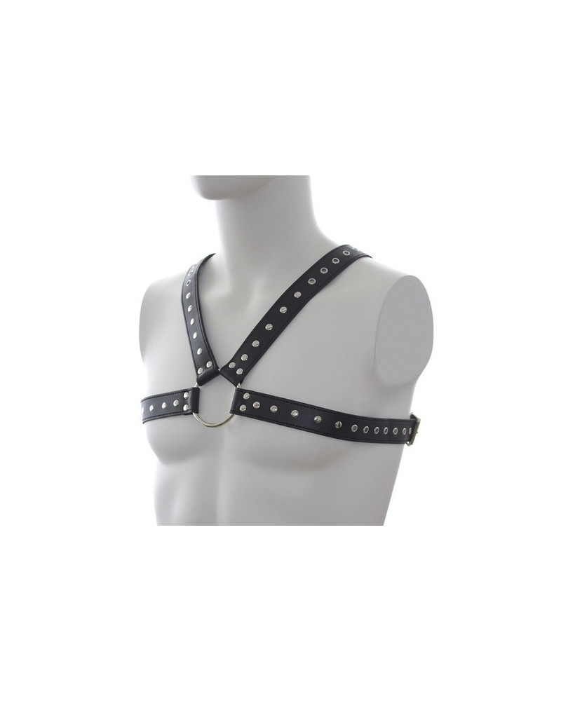 Harnais SM Stud Chest 