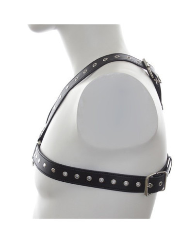 Harnais SM Stud Chest 