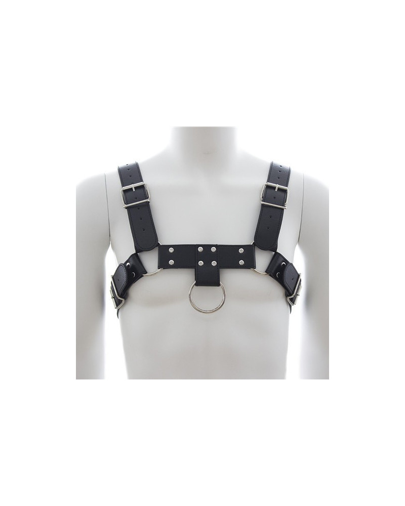 Harnais SM Upper Body Chest 