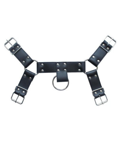 Harnais SM Upper Body Chest 
