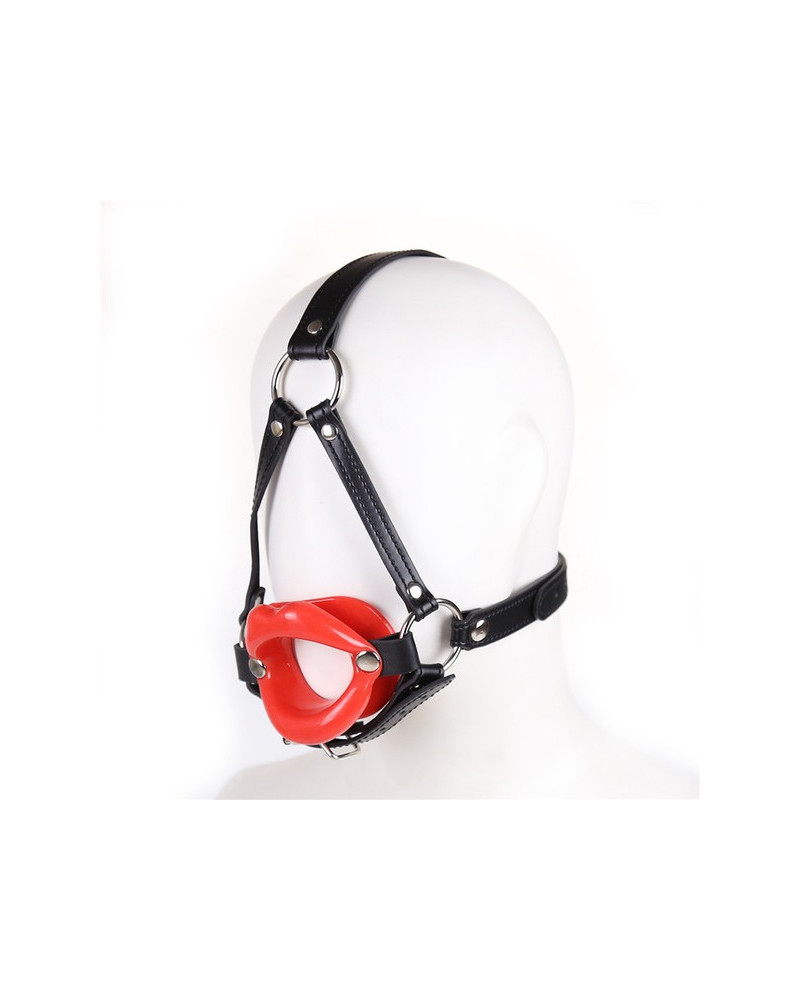 Baillon SM Lips et Harnais 