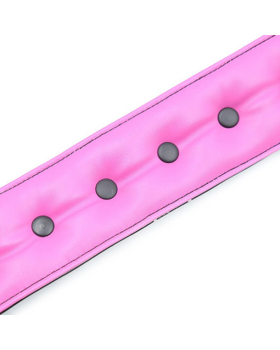 Collier Laisse Rose 
