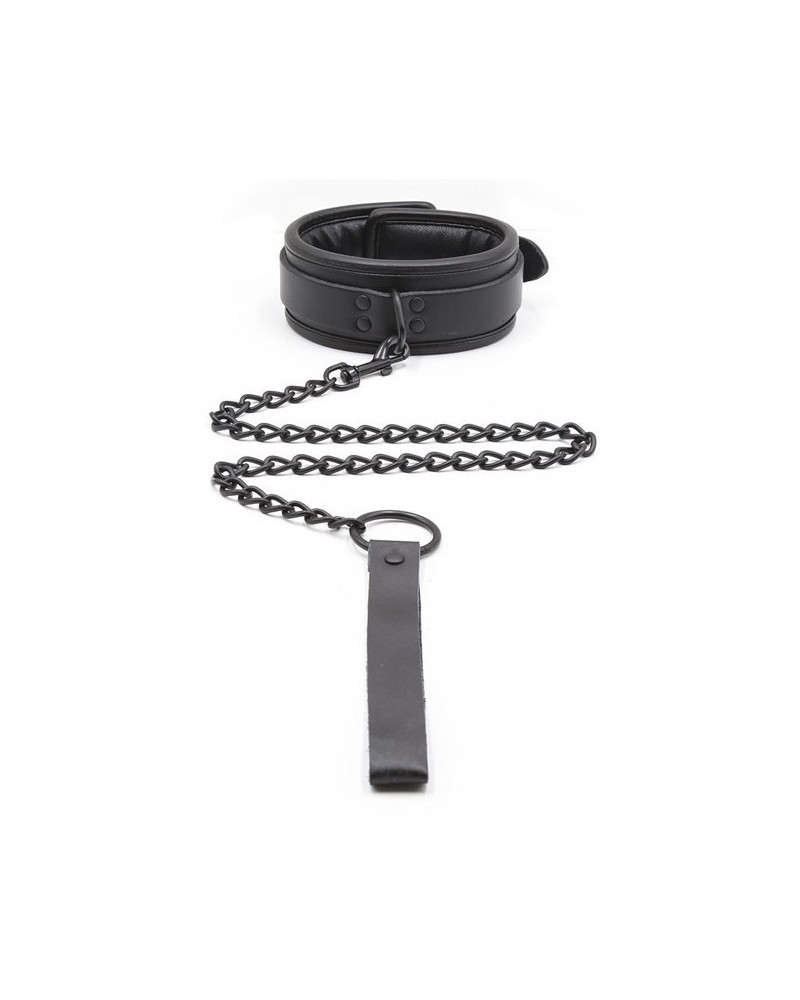 Collier Epais + Laisse 