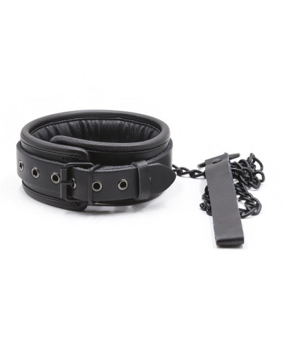 Collier Epais + Laisse 