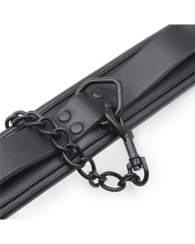 Collier Epais + Laisse 