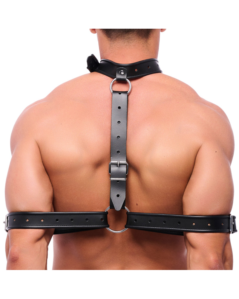 Collier de bondage bras 