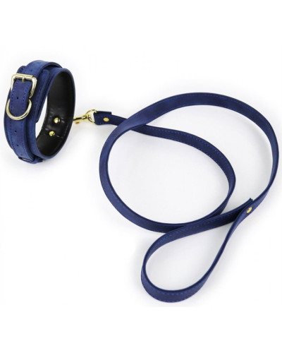 Collier et Laisse Lighty Bleu 