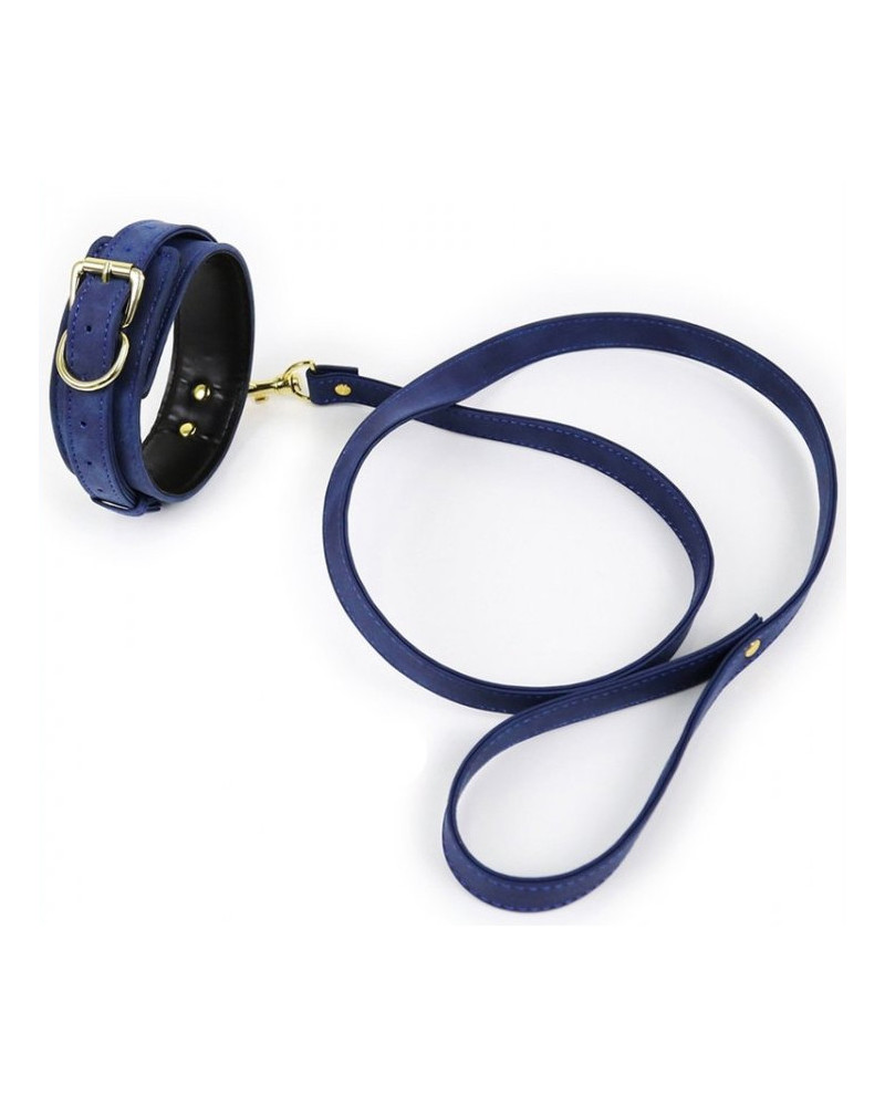 Collier et Laisse Lighty Bleu 