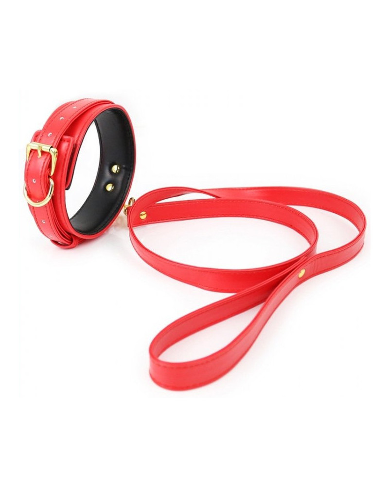Collier et Laisse Lighty Rouge 