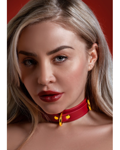 Collier D-Ring Taboom Rouge 