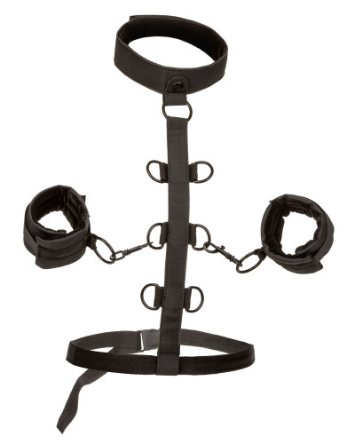 Attaches Sm Collar Body Restraint Boundless 